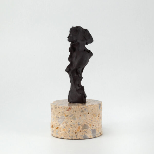 Psychopomp 6
