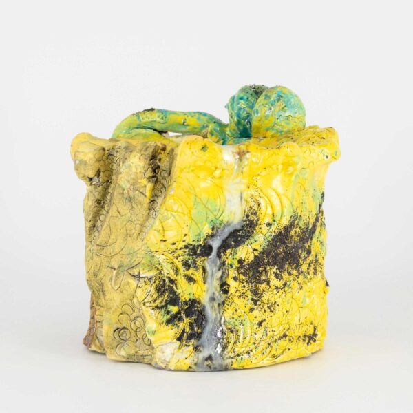 Dysfunctional Vessel, Yellow Snake