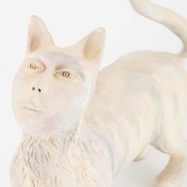 Gazer