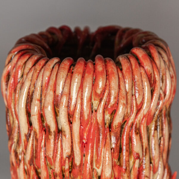 Red anemone