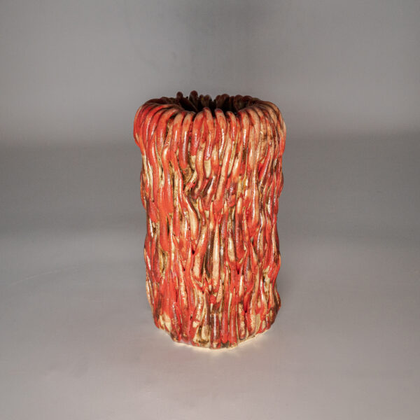 Red anemone